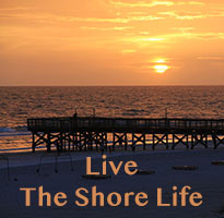 promo banner 2